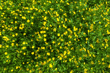 Similar image 5758329