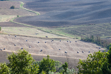 Similar image 5758376