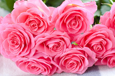 Similar image 5758439