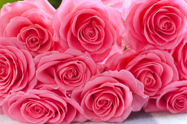 Similar image 5758442