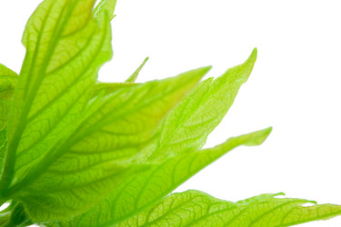 Similar image 5758510