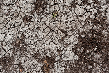 Similar image 5758546