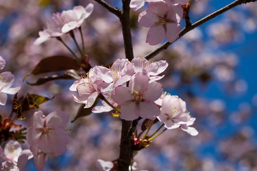 Similar image 5758565