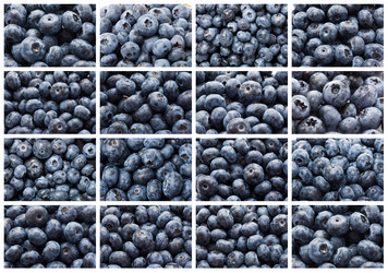 Similar image 5758575