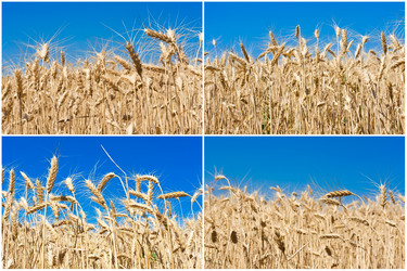 Similar image 5758581