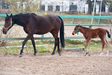 Similar image 5758582