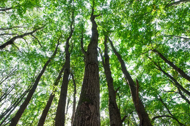 Similar image 5758585