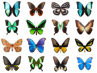 Similar image 5758599