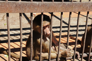 Similar image 5758951