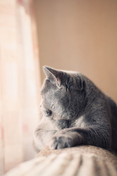 Similar image 5758986