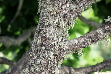 Similar image 5759088