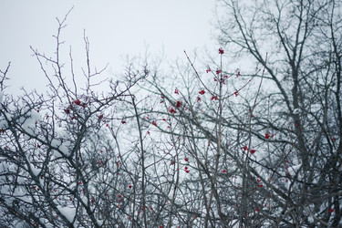 Similar image 5759093