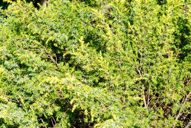 Similar image 5759337