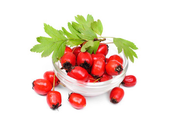 Similar image 5759372