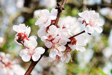 Similar image 5759373