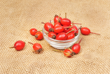 Similar image 5759374