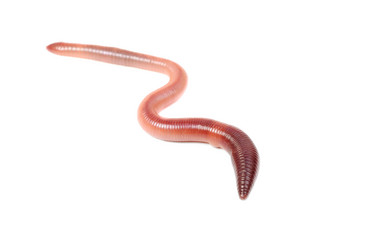 Similar image 5759376