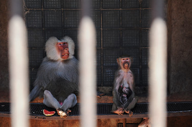 Similar image 5759445