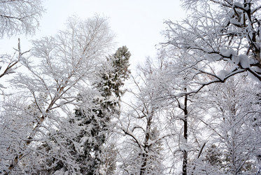 Similar image 5759452