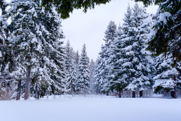 Similar image 5759455