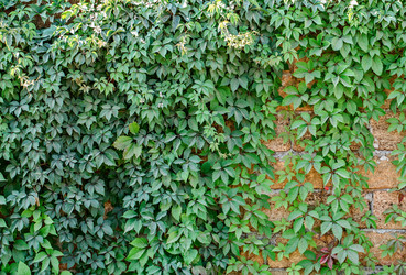 Similar image 5759534