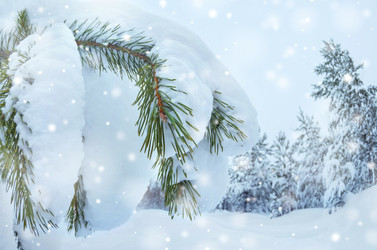 Similar image 5759538