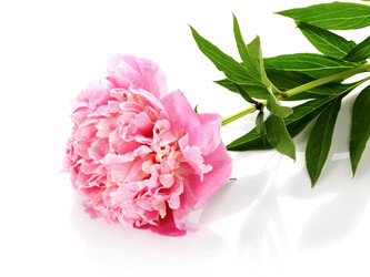 Similar image 5759568