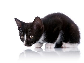 Similar image 5759573