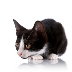 Similar image 5759622