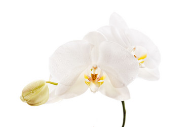 Similar image 5759770