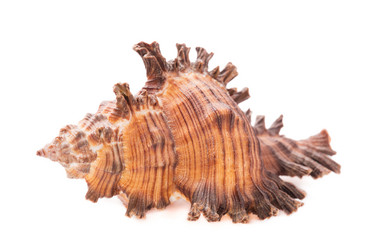 Similar image 5759789