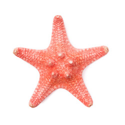 Similar image 5759798