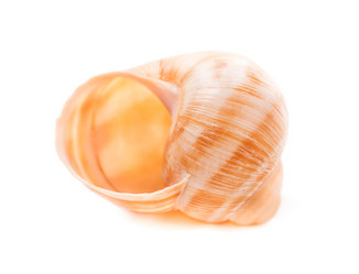 Similar image 5759801