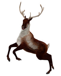 Similar image 5759875