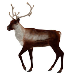 Similar image 5759876