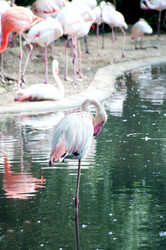 Similar image 5759993