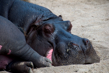 Similar image 5759994