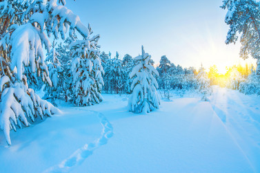 Similar image 5760001