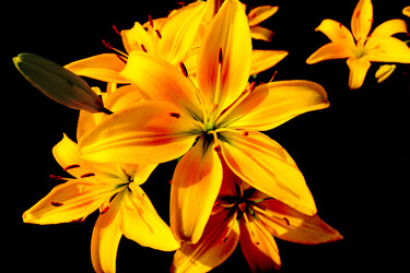 Similar image 5760096