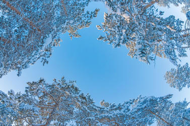 Similar image 5760187