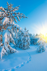 Similar image 5760189