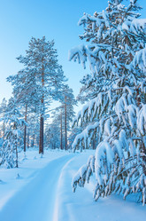 Similar image 5760190