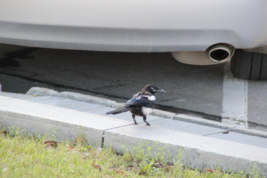 Similar image 5760196