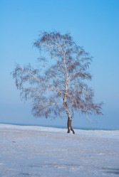 Similar image 5760211