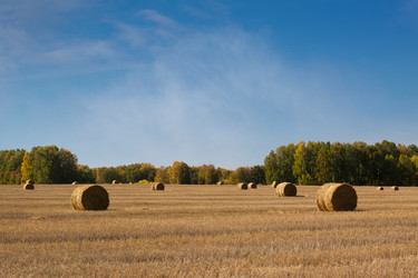 Similar image 5760248