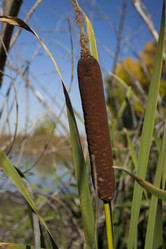 Similar image 5760249