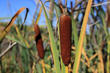 Similar image 5760250