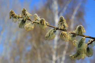 Similar image 5760251