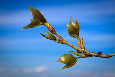 Similar image 5760252