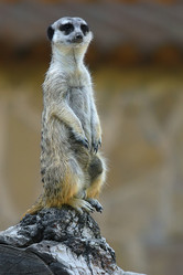 Similar image 5760254